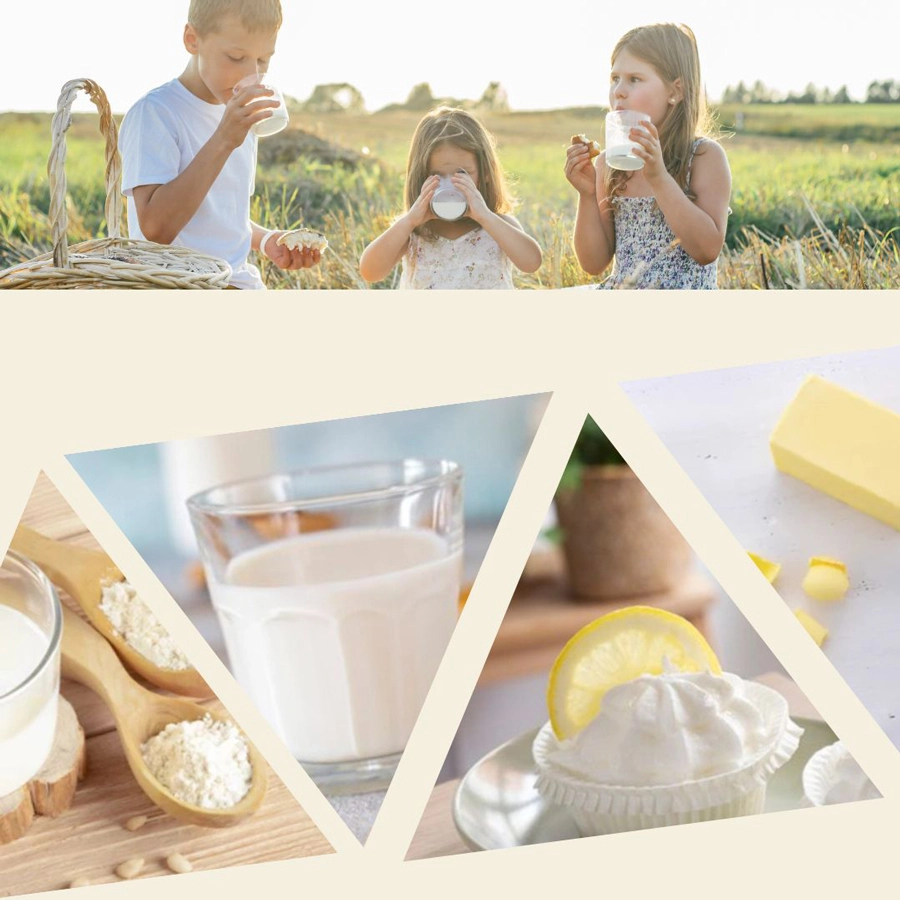 ksdss products for export